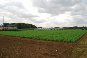 売地 住宅地 倉庫・工場用地として利用可 農振除外済み 国道409号カインズホーム近く！